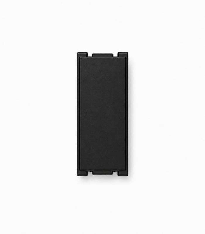 10AX SWITCHES, 250V~ S.P 100W SBL Load(1 Way Switch, 1 Module )